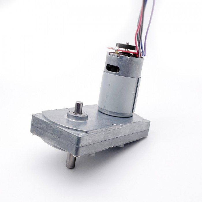 Pack de 2 Motores Eléctrico DC con Reductor y Encoder 12 V / 24 V 50 kg·cm