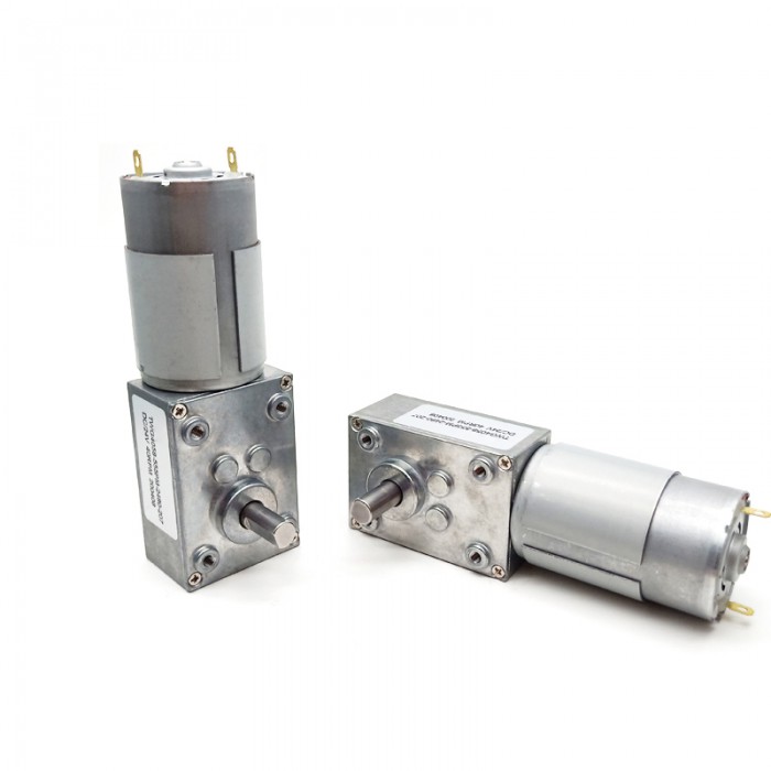 Pack de 2 Motores Eléctrico DC con Reductor de Tornillo Sin Fin 12V/24V Imán Permanente 10kg·cm 40×58mm