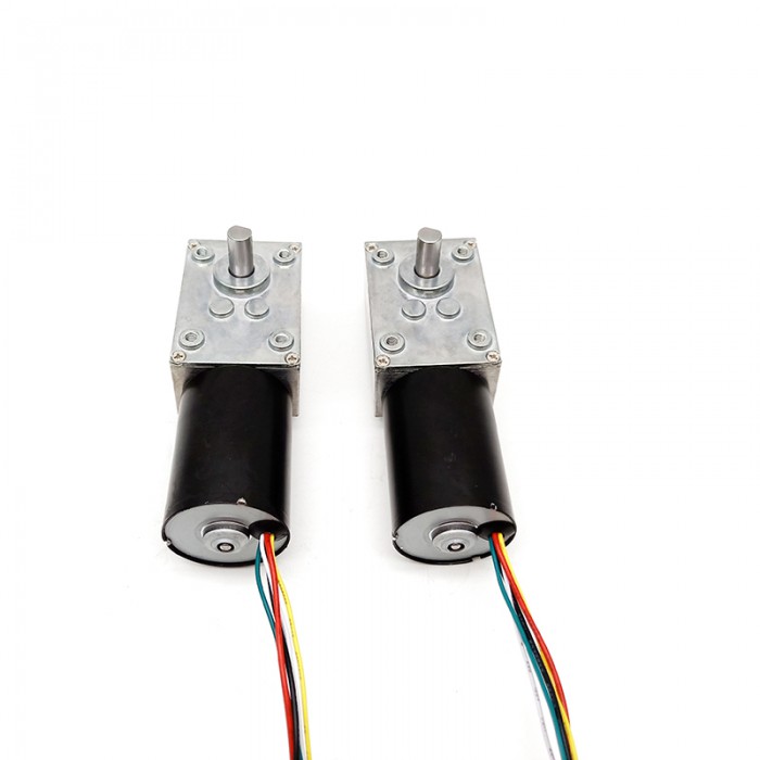 Pack de 2 Motores Eléctrico DC con Reductor de Tornillo Sin Fin 12V/24V Imán Permanente 10kg·cm 37×37mm