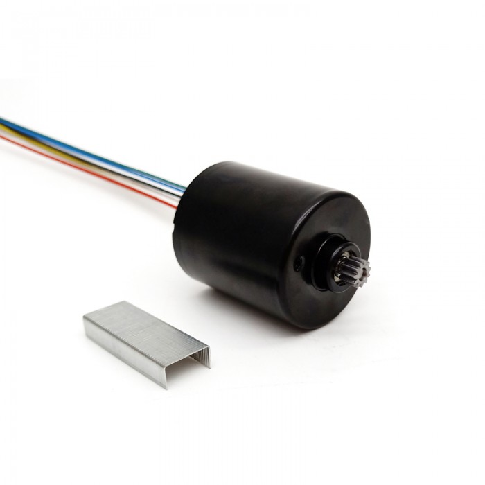 Pack de 2 Motores compactos sin escobillas 12 V / 24 V 550 g·cm 6000 RPM 36×40 mm