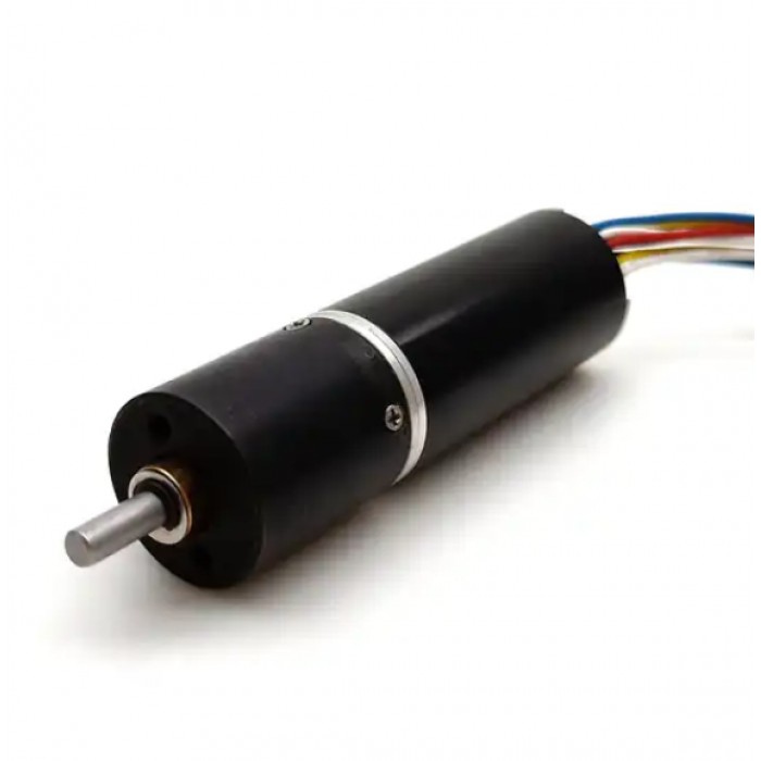 Pack de 2 Motores Planetarios DC Sin Núcleo Sin Escobillas 12V/24V 3kg·cm 9–2700RPM