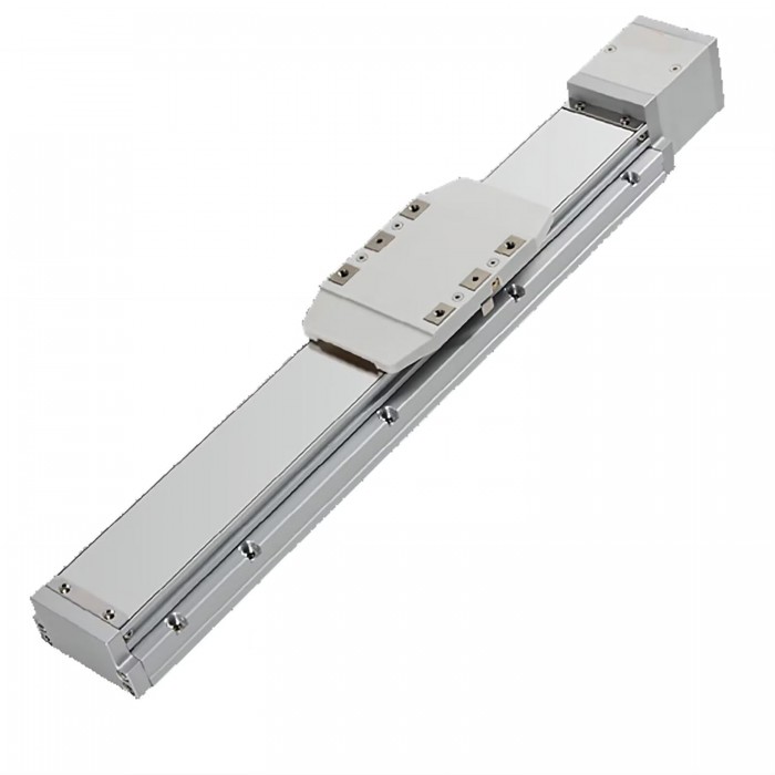 FCH60 Módulo Lineal con Guía y Doble Riel Actuador con Motor Servo de 400 W