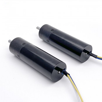 Pack de 2 Motorreductores DC sin escobillas 12V/24V Φ20mm 3.0kg·cm con caja planetaria (GMP20-TEC2047)