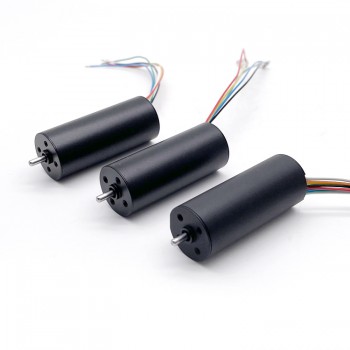 Pack de 2 Motores DC sin Escobillas Motor Eléctrico sin Escobillas 12 V / 24 V 50 g·cm 16×40 mm