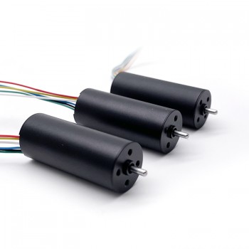 Pack de 2 Motores DC sin Escobillas Motor Eléctrico sin Escobillas 12 V / 24 V 50 g·cm 16×40 mm