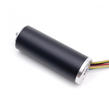 Pack de 2 Motores Eléctrico Sin Núcleo DC Sin Escobillas 12V/24V Engranaje Planetario 800g·cm 22×60mm