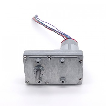 Pack de 2 Motores Eléctrico DC con Reductor y Encoder 12 V / 24 V 50 kg·cm