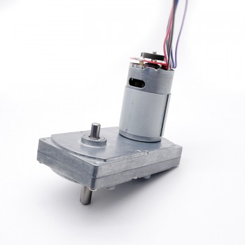 Pack de 2 Motores Eléctrico DC con Reductor y Encoder 12 V / 24 V 50 kg·cm