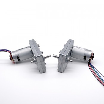 Pack de 2 Motores Eléctrico DC con Reductor y Encoder 12 V / 24 V 50 kg·cm