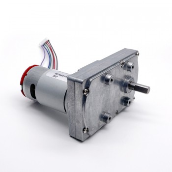 Pack de 2 Motores Eléctrico DC con Reductor y Encoder 12 V / 24 V 50 kg·cm