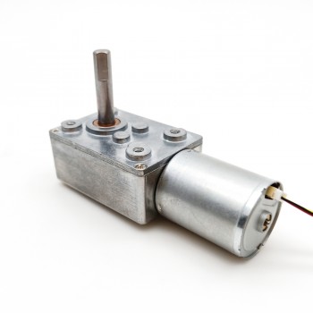 Pack de 2 Motores Eléctrico DC Sin Escobillas 12V/24V con Reductor Sin Fin 8kg·cm 4500RPM 32×76.8mm