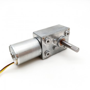 Pack de 2 Motores Eléctrico DC Sin Escobillas 12V/24V con Reductor Sin Fin 8kg·cm 4500RPM 32×76.8mm