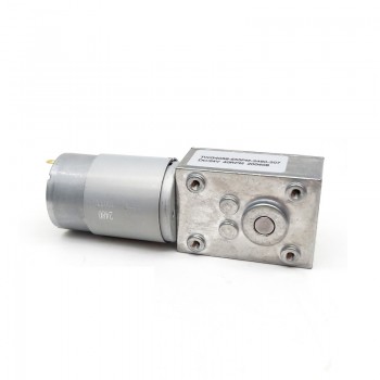 Pack de 2 Motores Eléctrico DC con Reductor de Tornillo Sin Fin 12V/24V Imán Permanente 10kg·cm 40×58mm