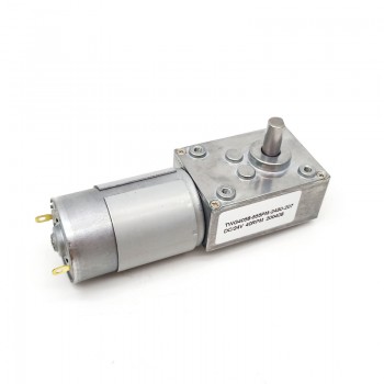Pack de 2 Motores Eléctrico DC con Reductor de Tornillo Sin Fin 12V/24V Imán Permanente 10kg·cm 40×58mm