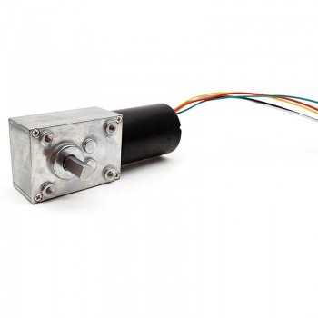 Pack de 2 Motores Eléctrico DC con Reductor de Tornillo Sin Fin 12V/24V Imán Permanente 10kg·cm 37×37mm