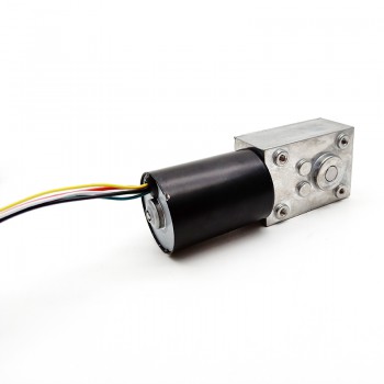 Pack de 2 Motores Eléctrico DC con Reductor de Tornillo Sin Fin 12V/24V Imán Permanente 10kg·cm 37×37mm