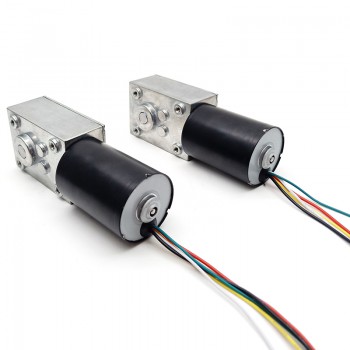 Pack de 2 Motores Eléctrico DC con Reductor de Tornillo Sin Fin 12V/24V Imán Permanente 10kg·cm 37×37mm