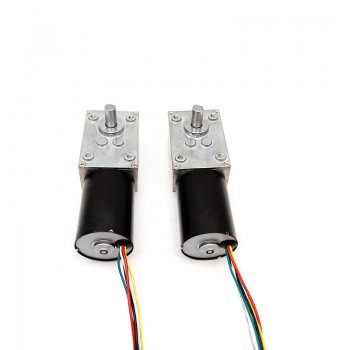 Pack de 2 Motores Eléctrico DC con Reductor de Tornillo Sin Fin 12V/24V Imán Permanente 10kg·cm 37×37mm