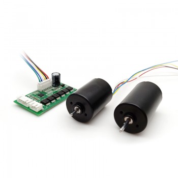 Pack de 2 Motores sin Escobillas 12 V / 24 V 100 g·cm 5000 RPM 28×38 mm