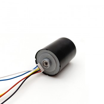 Pack de 2 Motores sin Escobillas 12 V / 24 V 100 g·cm 5000 RPM 28×38 mm