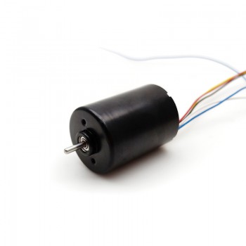 Pack de 2 Motores sin Escobillas 12 V / 24 V 100 g·cm 5000 RPM 28×38 mm