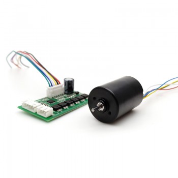 Pack de 2 Motores sin Escobillas 12 V / 24 V 100 g·cm 5000 RPM 28×38 mm
