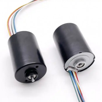 Pack de 2 Motores BLDC Motores sin Escobillas Eléctrico 12 V / 24 V 1000–1800 g·cm 36 mm