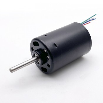 Pack de 2 Motores sin Escobillas con Controlador Integrado 12 V / 24 V 500 g·cm 5000 RPM