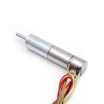Pack de 2 Motores Eléctrico DC con Caja Planetaria Sin Escobillas 6V/12V Sin Núcleo 12mm Ø