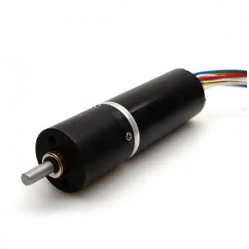 Pack de 2 Motores Planetarios DC Sin Núcleo Sin Escobillas 12V/24V 3kg·cm 9–2700RPM