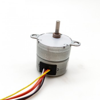 Pack de 2 Motores paso a paso DC 12V 4 fases 7.5° 120 mA 0.5 kg·cm con engranaje recto eje 3 mm tipo D