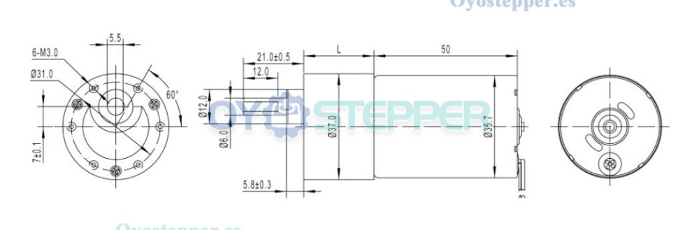 Pack de 2 Motores BLDC con caja Reductora Motor Eléctrico sin Escobillas 12 V / 24 V 0.7–10 kg·cm 4–850 RPM