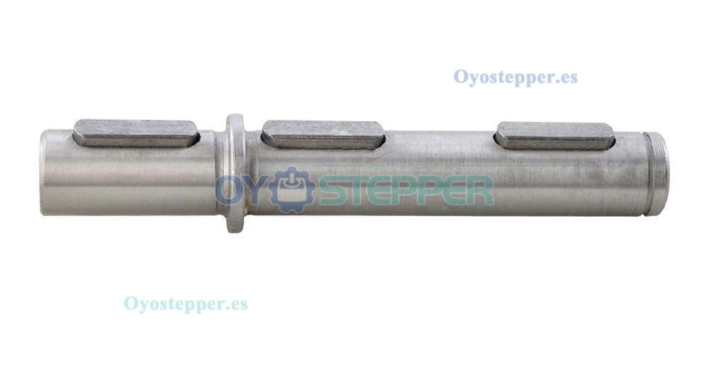 Eje de salida simple o doble de &Oslash;18mm para reductor sinf&iacute;n NMRV040