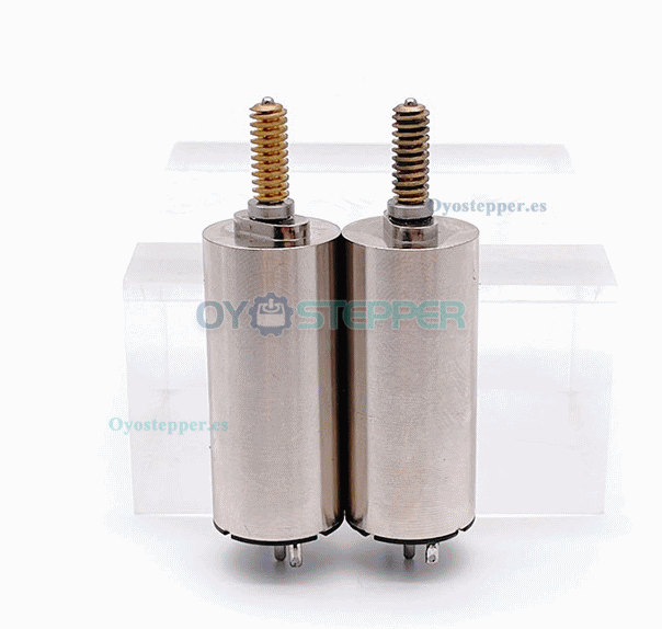 Pack de 2 Motores Eléctrico DC Cepillados Sin Núcleo 24V 1.96mNm 16×36mm