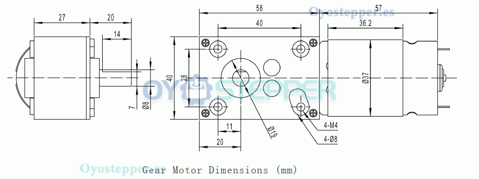 Pack de 2 Motores Eléctrico DC con Reductor de Tornillo Sin Fin 12V/24V Imán Permanente 10kg·cm 40×58mm