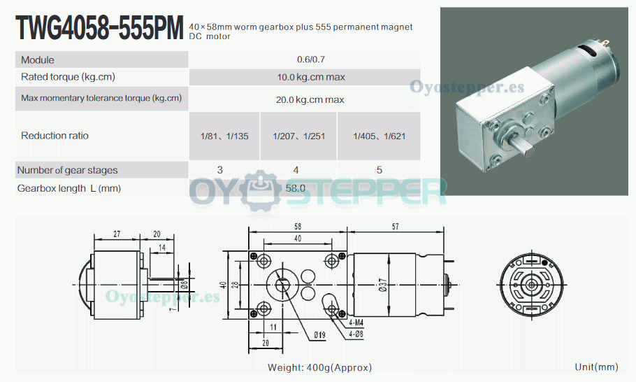Pack de 2 Motores Eléctrico DC con Reductor de Tornillo Sin Fin 12V/24V Imán Permanente 10kg·cm 40×58mm