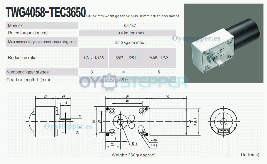 Pack de 2 Motores Eléctrico DC con Reductor de Tornillo Sin Fin 12V/24V Imán Permanente 10kg·cm 37×37mm